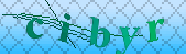 Error: Please enable images in your browser