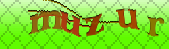 captcha_error_images_off