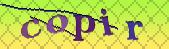 Error: Please enable images in your browser