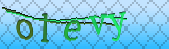 Error: Please enable images in your browser