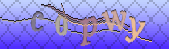 captcha_error_images_off
