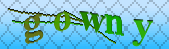 Error: Please enable images in your browser