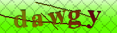 Error: Please enable images in your browser