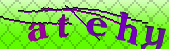Error: Please enable images in your browser
