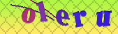 Error: Please enable images in your browser