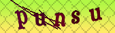 captcha_error_images_off