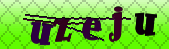 captcha_error_images_off