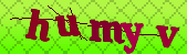 Error: Please enable images in your browser