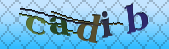 captcha_error_images_off