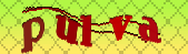 captcha_error_images_off