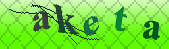 captcha_error_images_off
