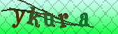 captcha_error_images_off