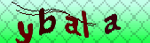 Error: Please enable images in your browser