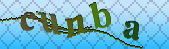 Error: Please enable images in your browser