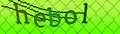 Error: Please enable images in your browser