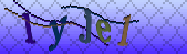 Error: Please enable images in your browser
