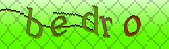 Error: Please enable images in your browser