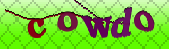 Error: Please enable images in your browser