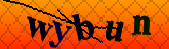 Error: Please enable images in your browser