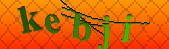 Error: Please enable images in your browser