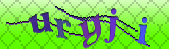 captcha_error_images_off
