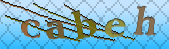 Error: Please enable images in your browser