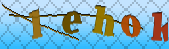Error: Please enable images in your browser