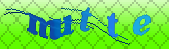 captcha_error_images_off