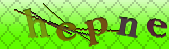 Error: Please enable images in your browser