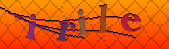 Error: Please enable images in your browser