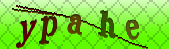 Error: Please enable images in your browser