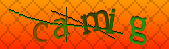 Error: Please enable images in your browser