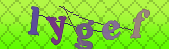 Error: Please enable images in your browser