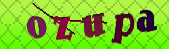 captcha_error_images_off