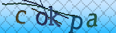 Error: Please enable images in your browser