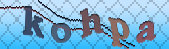 captcha_error_images_off