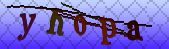 Error: Please enable images in your browser