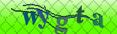 captcha_error_images_off