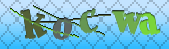 captcha_error_images_off