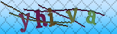 Error: Please enable images in your browser