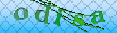 Error: Please enable images in your browser