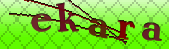 captcha_error_images_off
