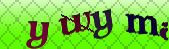 Error: Please enable images in your browser