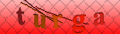 captcha_error_images_off