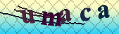 captcha_error_images_off