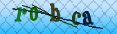 Error: Please enable images in your browser