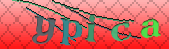 Error: Please enable images in your browser
