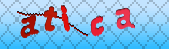 Error: Please enable images in your browser