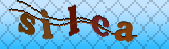 Mã xác nhận captcha