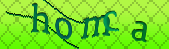 Error: Please enable images in your browser